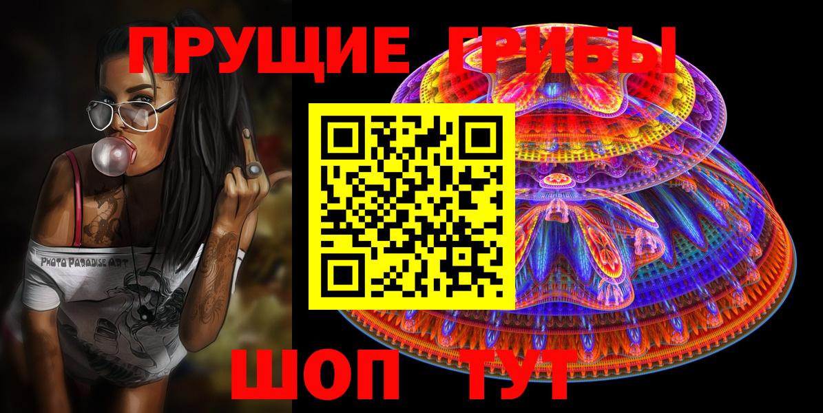 Прохладный  Галлюциногенные грибы Psilocybine cubensis  Вход с VPN 