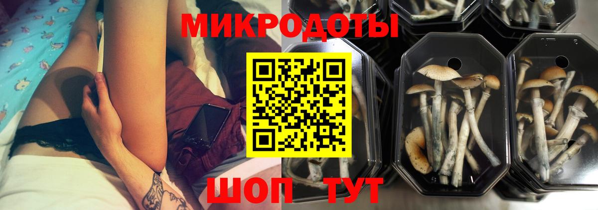Псилоцибиновые грибы мухоморы Прохладный